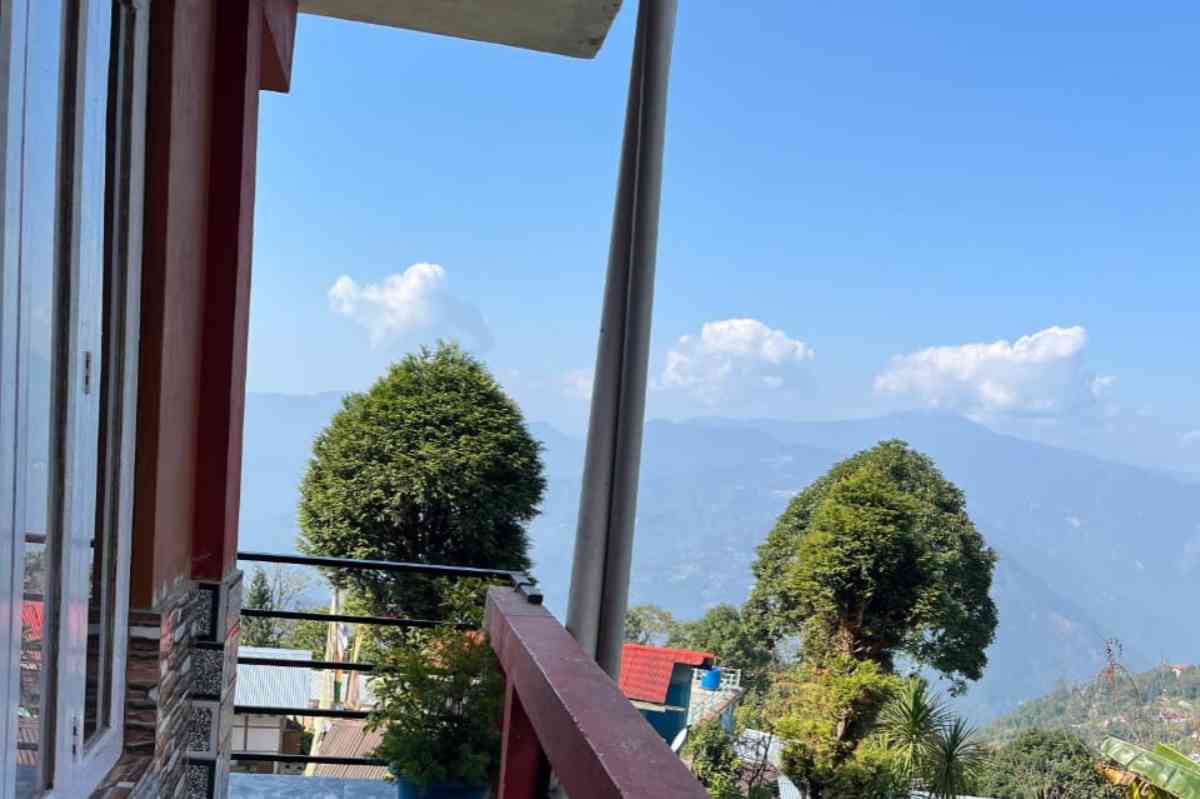 Mountain Pine Vista - Ramdhura