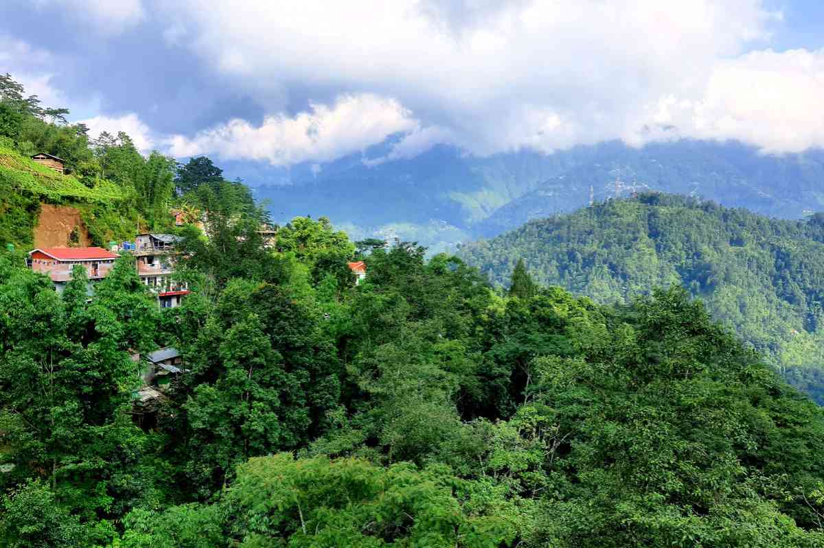 Kaijalay Valley Homestay - Bijanbari (Darjeeling)