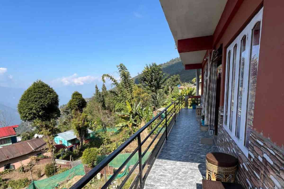 Mountain Pine Vista - Ramdhura