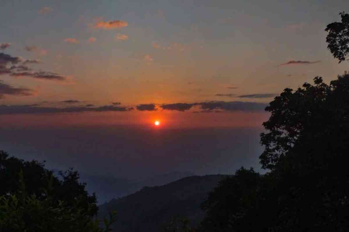 Forest Cabin - Kaffergaon