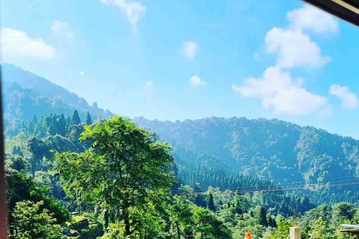 Neora Valley Homestay - Lava