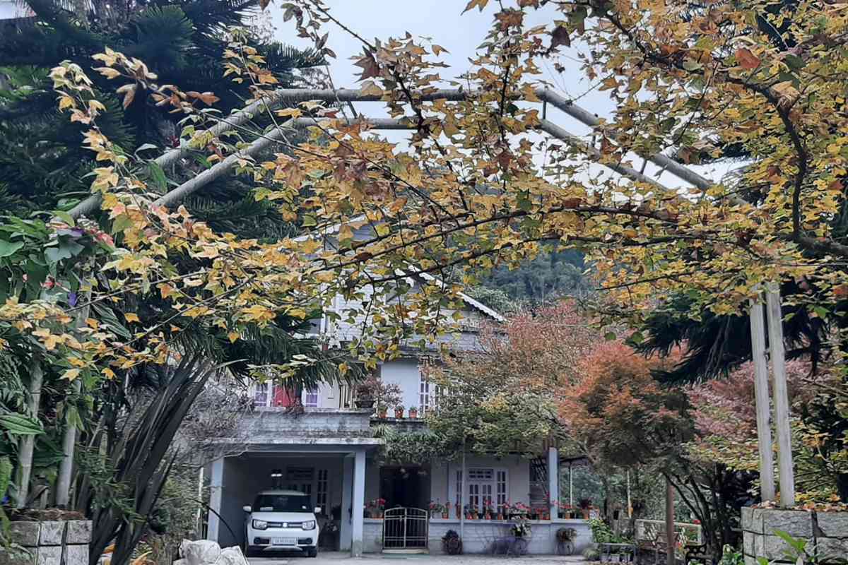 Sennin Homestay - Soreng