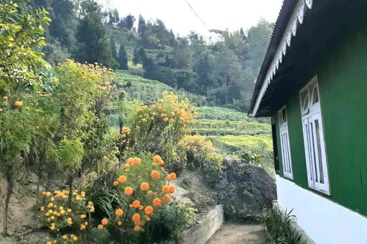 Langurdang Farmstay - Bijanbari