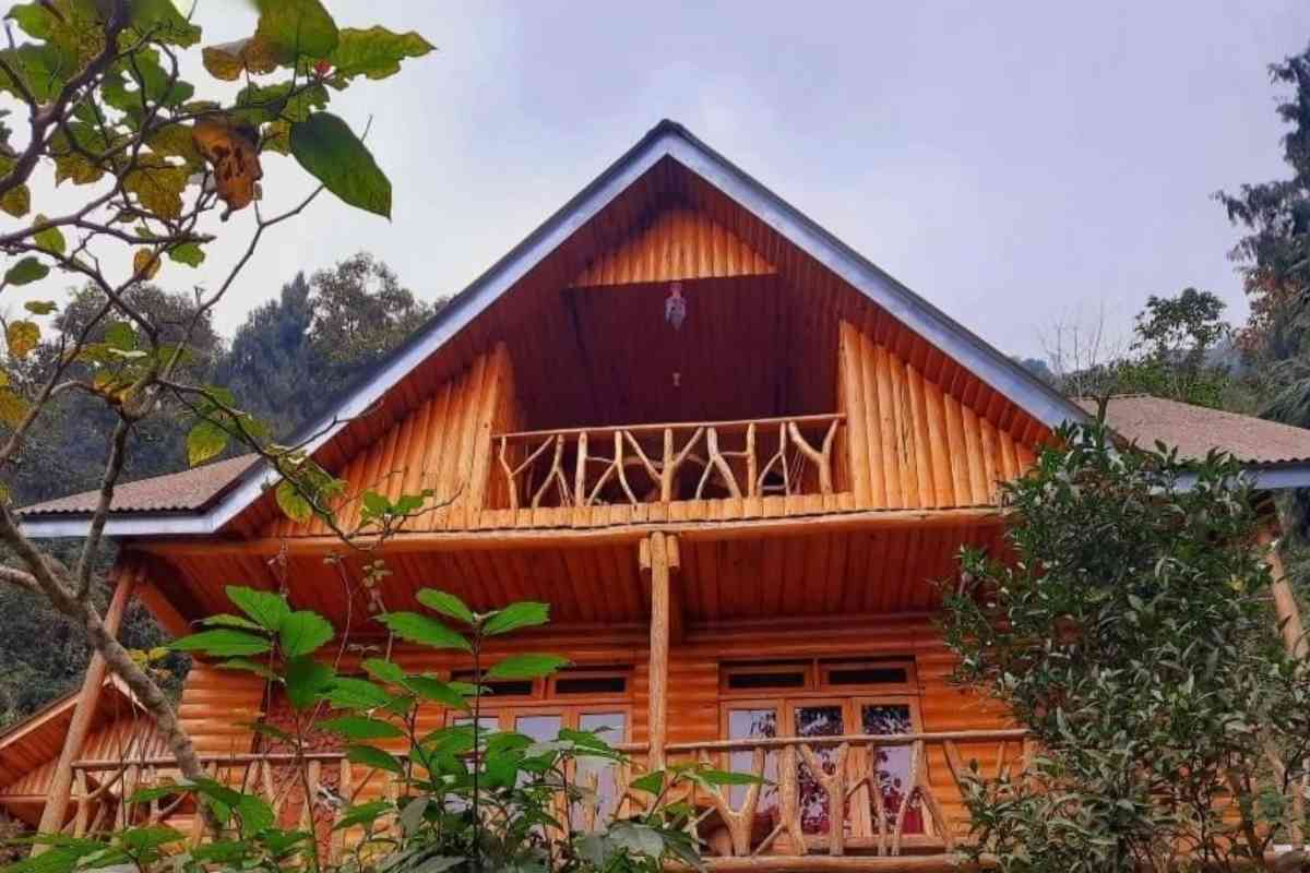 Golden Pine Homestay - Kalimpong