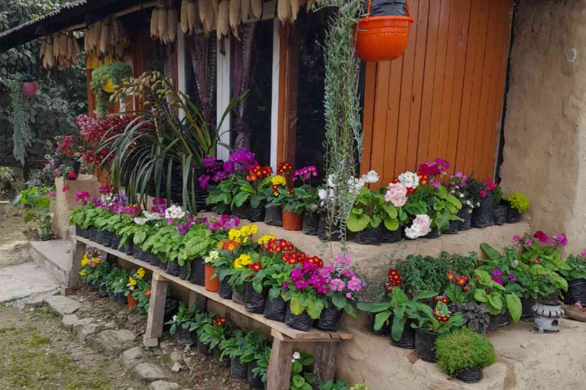 Lungselay Farmhouse - Kaffer Goan (Kalimpong)