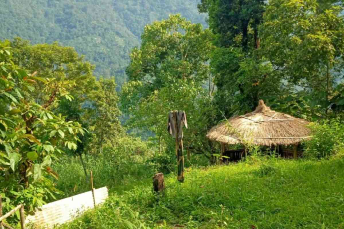 Majestic Zen Farmstay - Lebong