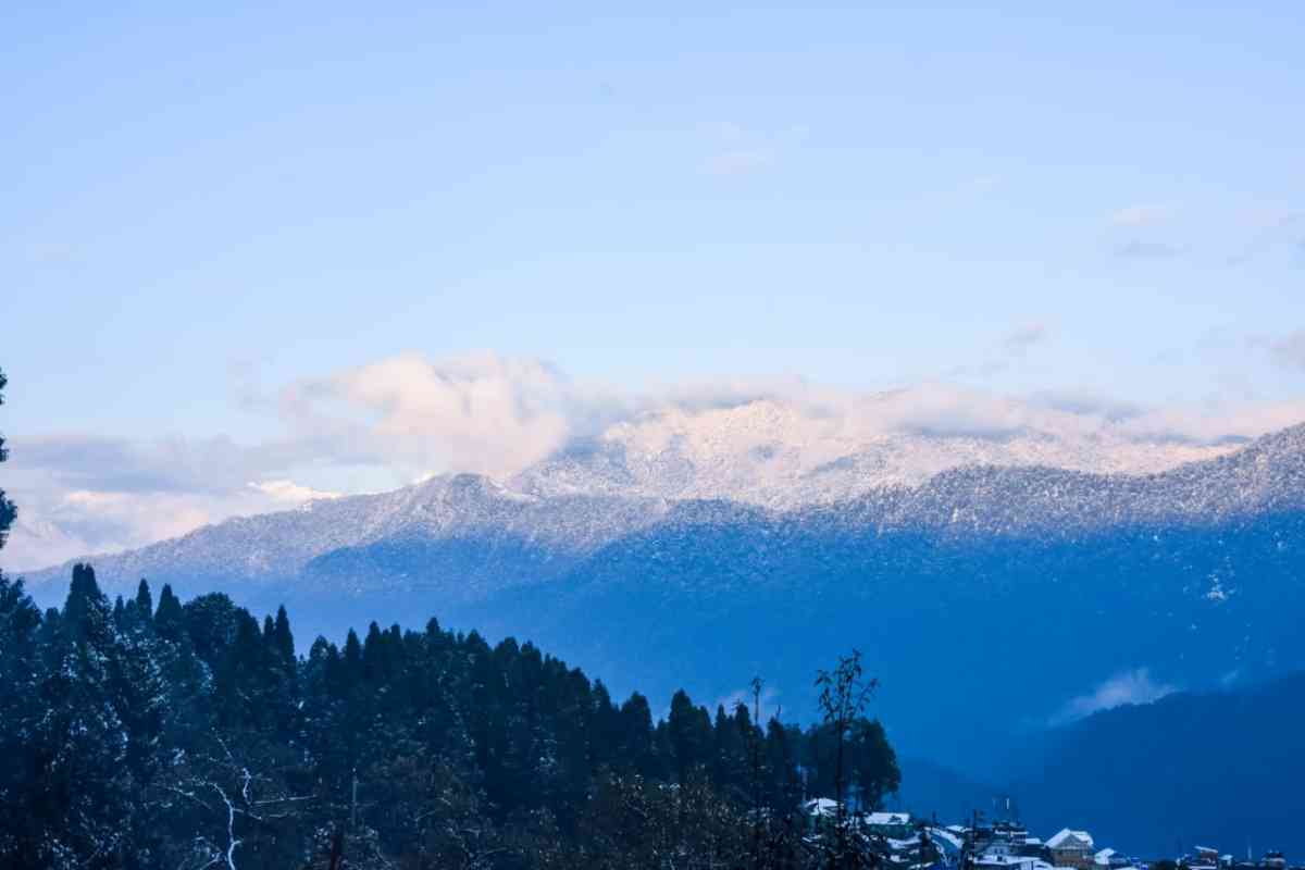 Wild Orchid Homestay - Kolakham