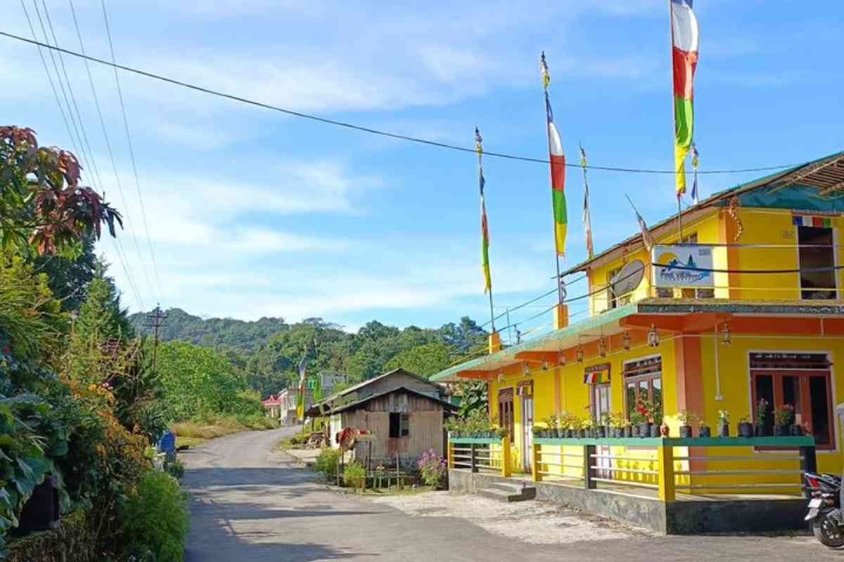 Pine View HomeStay - Jhandi