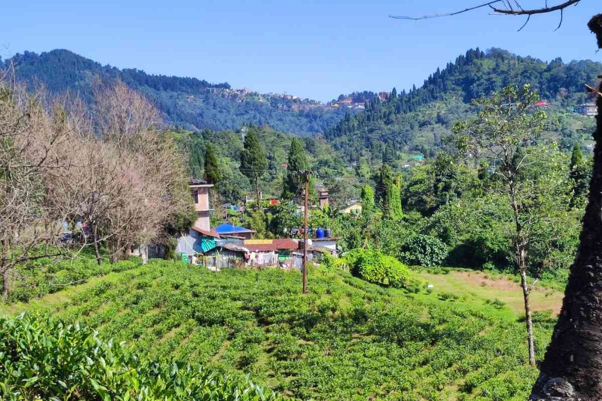 Jhandi Basnet Homestay