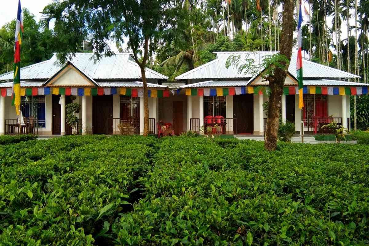 Tea Garden Homestay - Lataguri