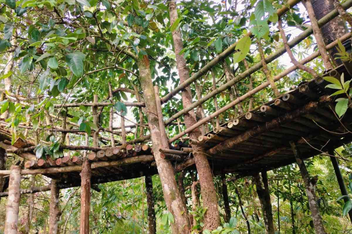 Yakso Homestay & Camping