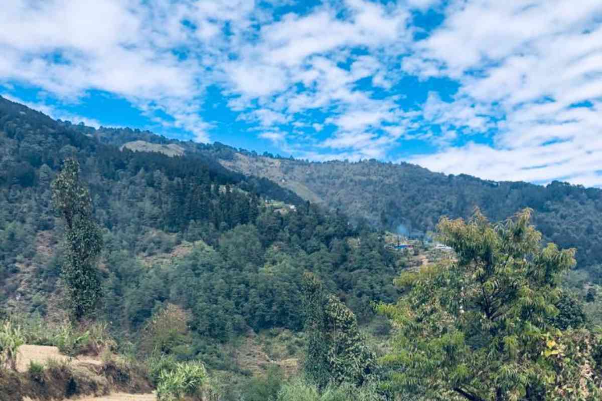 Srikhola Pankarma Homestay - Rimbick (Singalila)