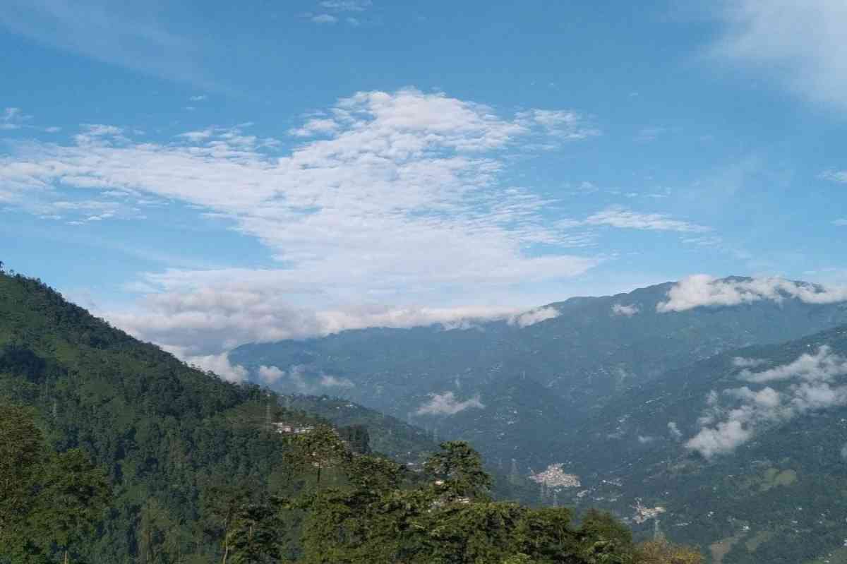 Pema La Dhim Homestay - Tukvar