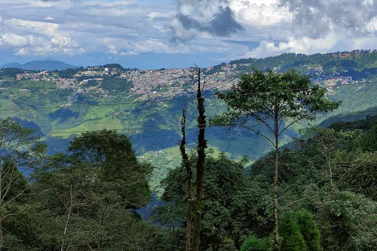 Lepcha View Homestay - Lepcha Jagat (Darjeeling)