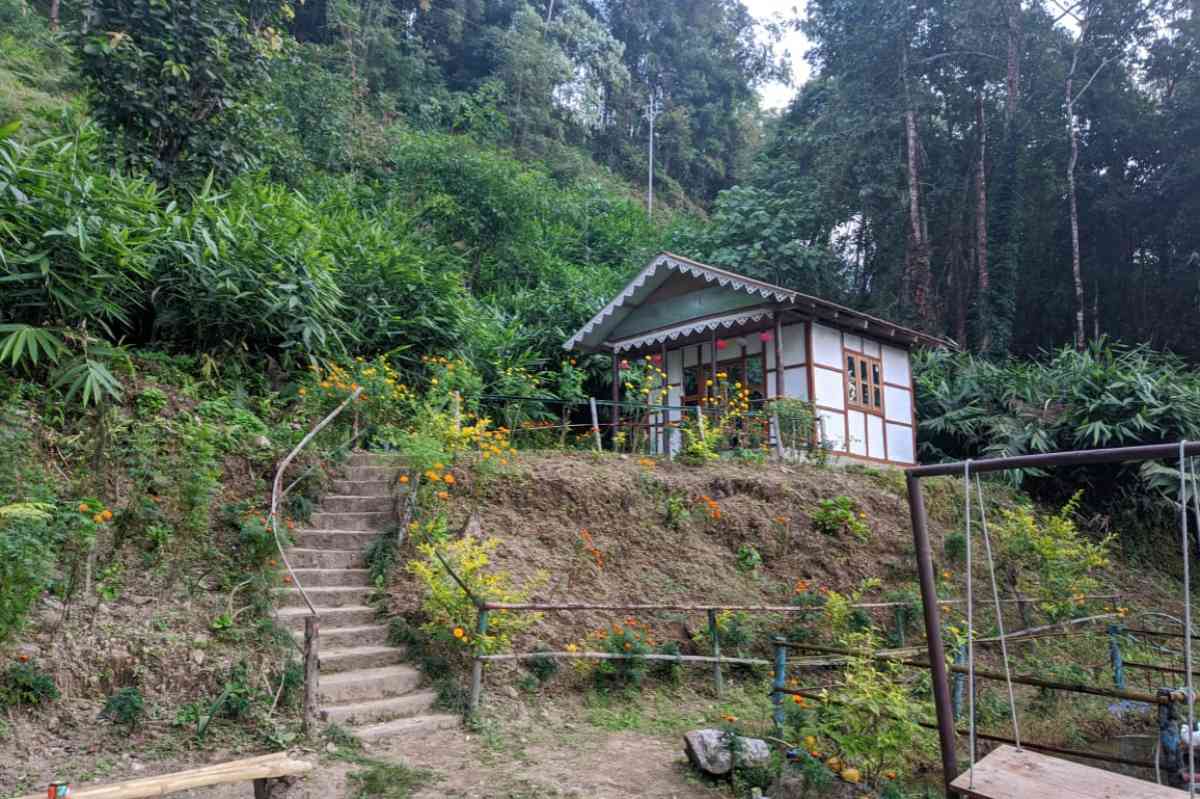 Treecity Homestay - Kalimpong