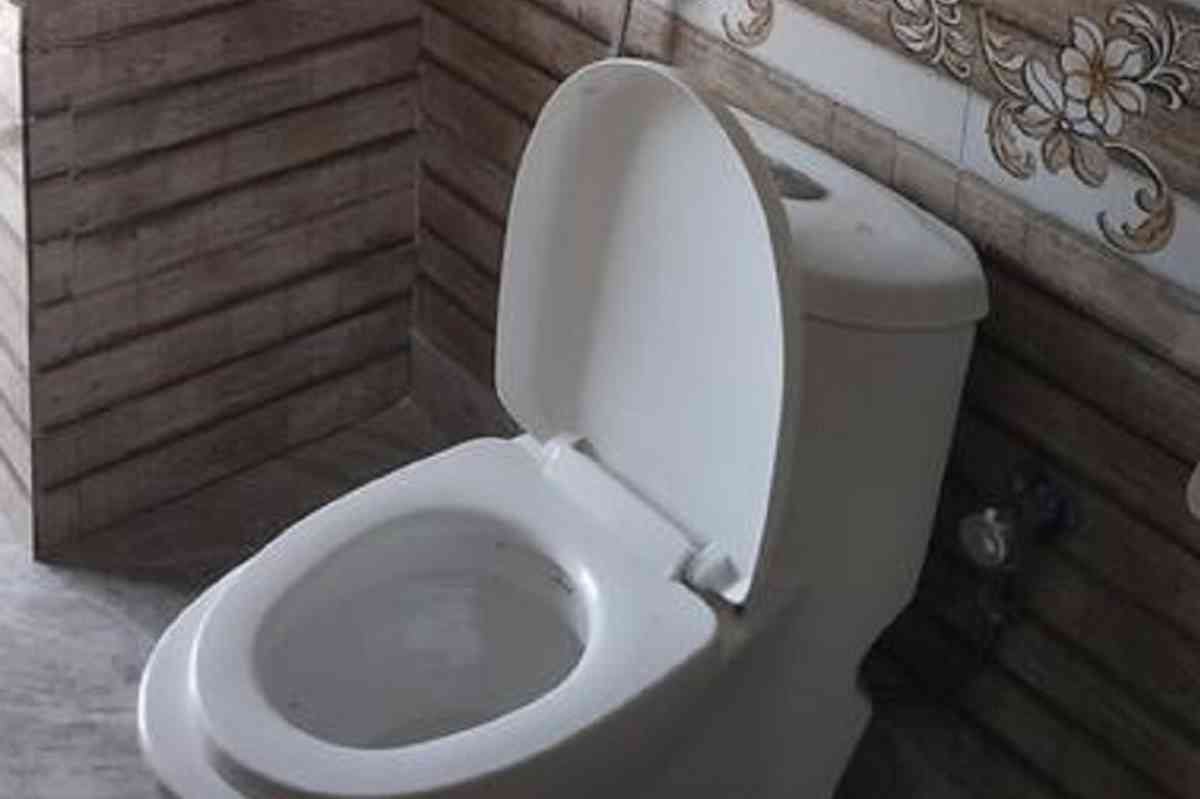 Welcome Homestay - Manali