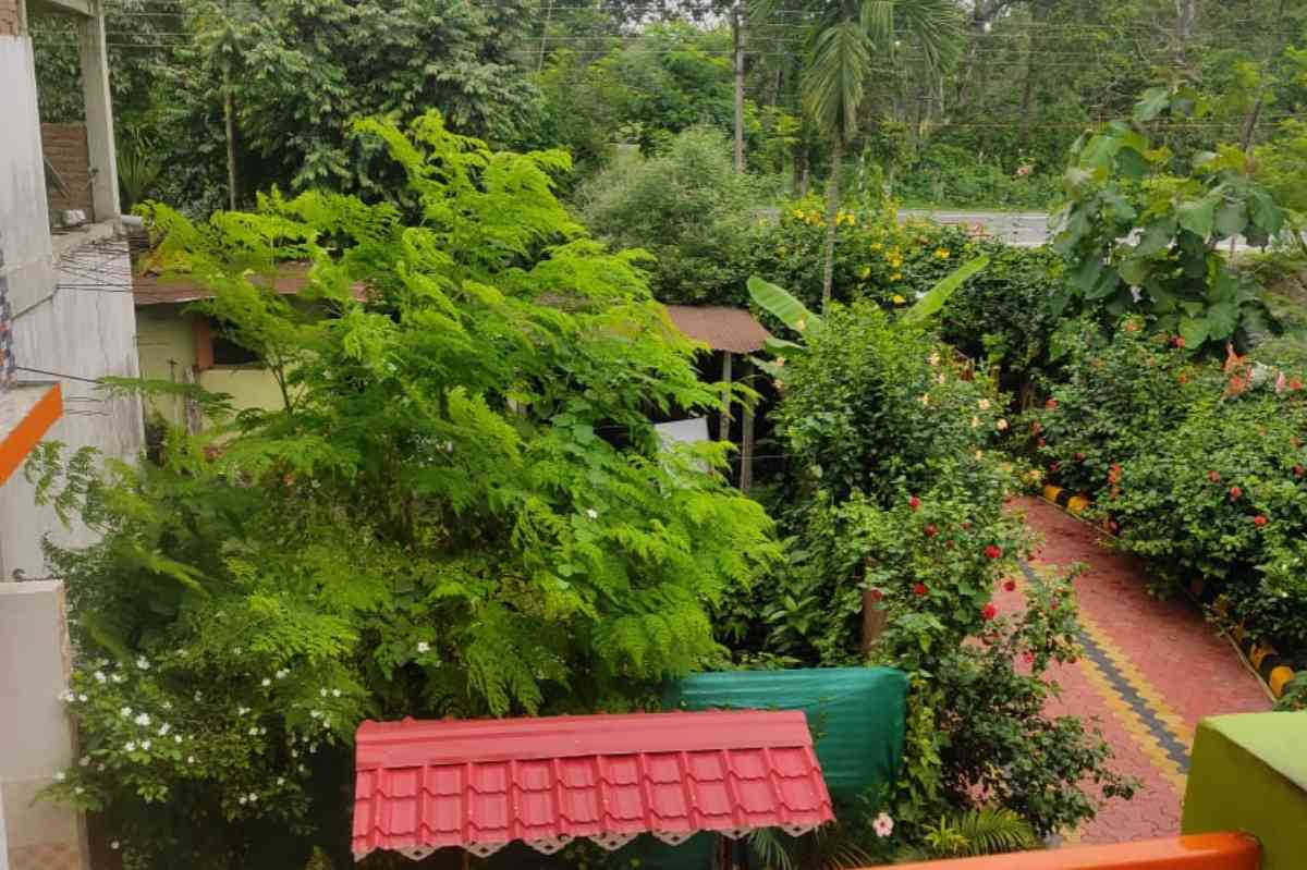 Holiday Homestay Jaldapara - Dooars