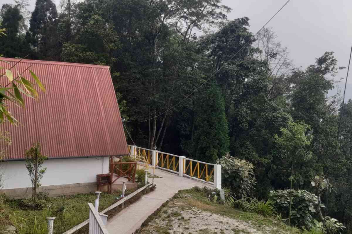 Tree House Homestay - Sittong