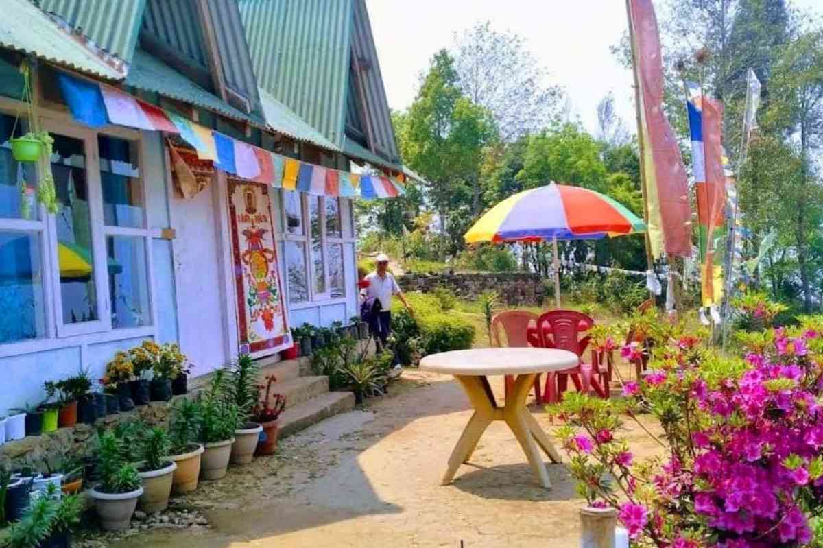 Window View Homestay