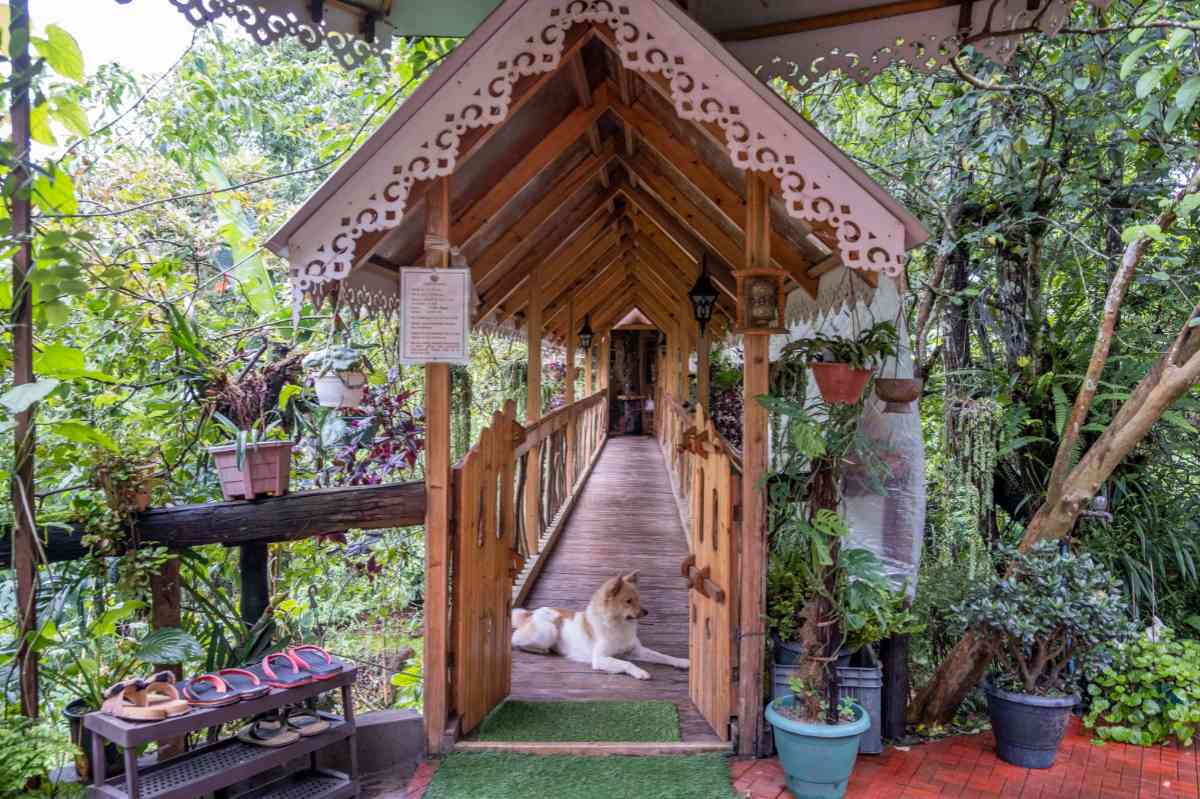 Mirik Treehouse Homestay