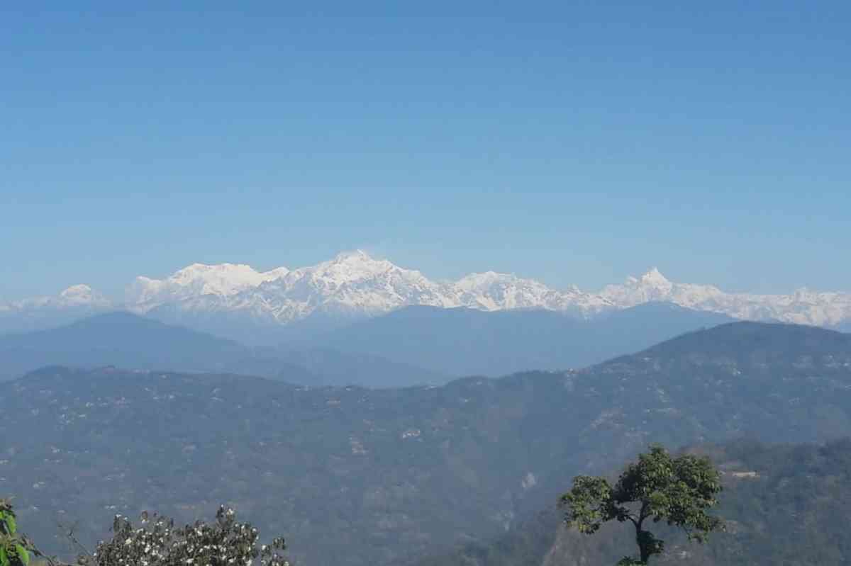 Mountain View Homestay - Darjeeling