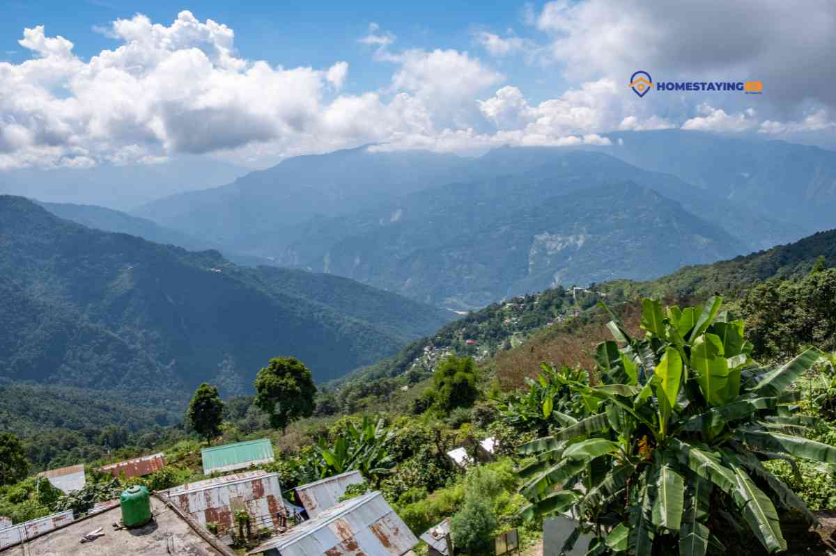 Tashi Homestay - Icche Gaon