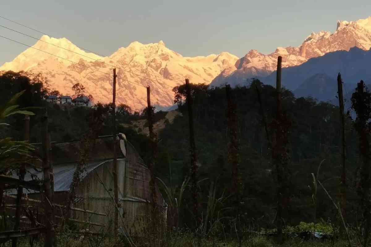 Ling Nee Chu Homestay - Lingthem