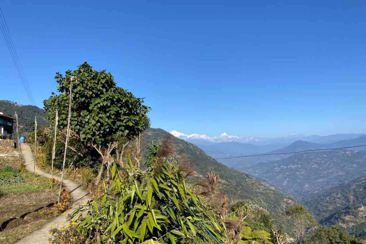 Wild Orchid Homestay - Kolakham