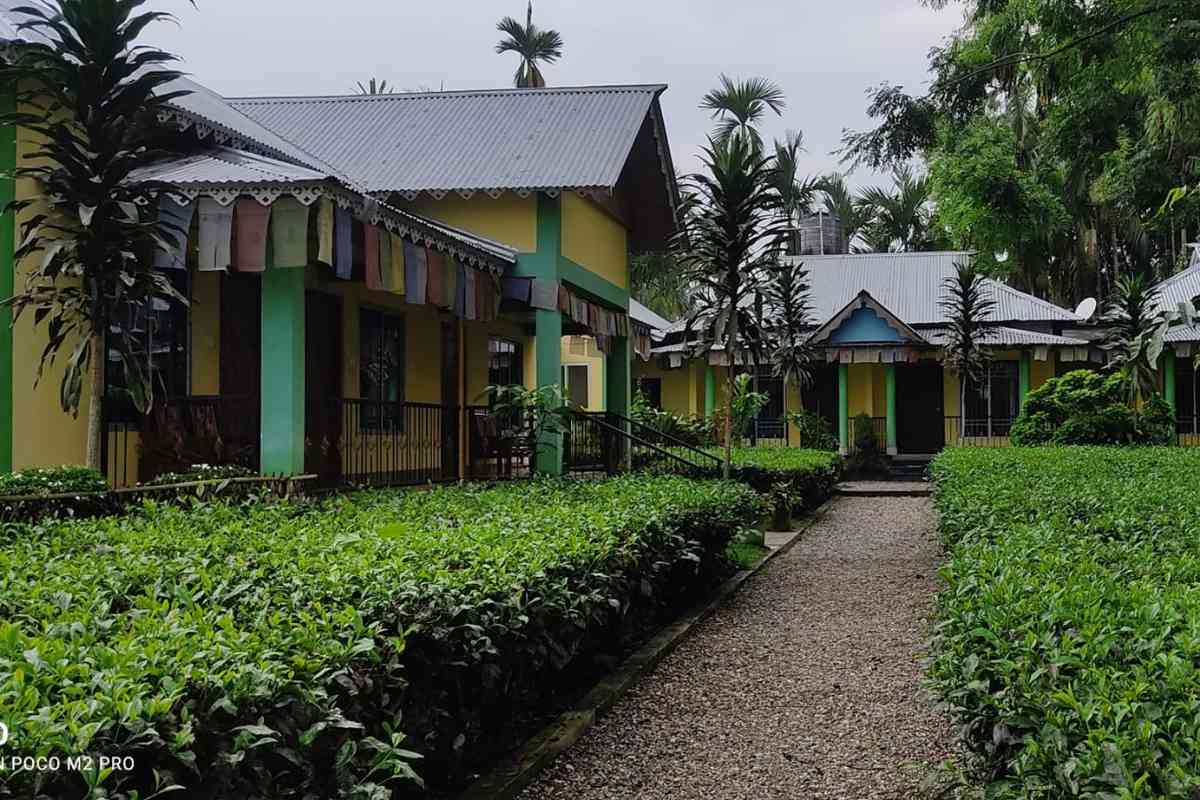 Tea Garden Homestay - Lataguri