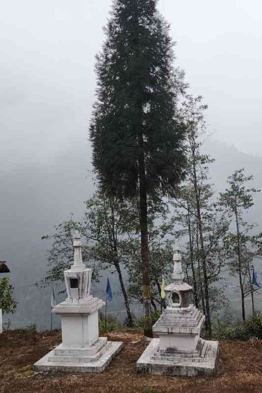 Bamboo Nest Homestay - Soreng