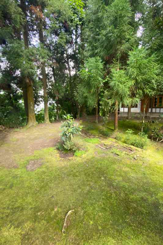 Giripur Village Homestay - Bijanbari (Darjeeling)