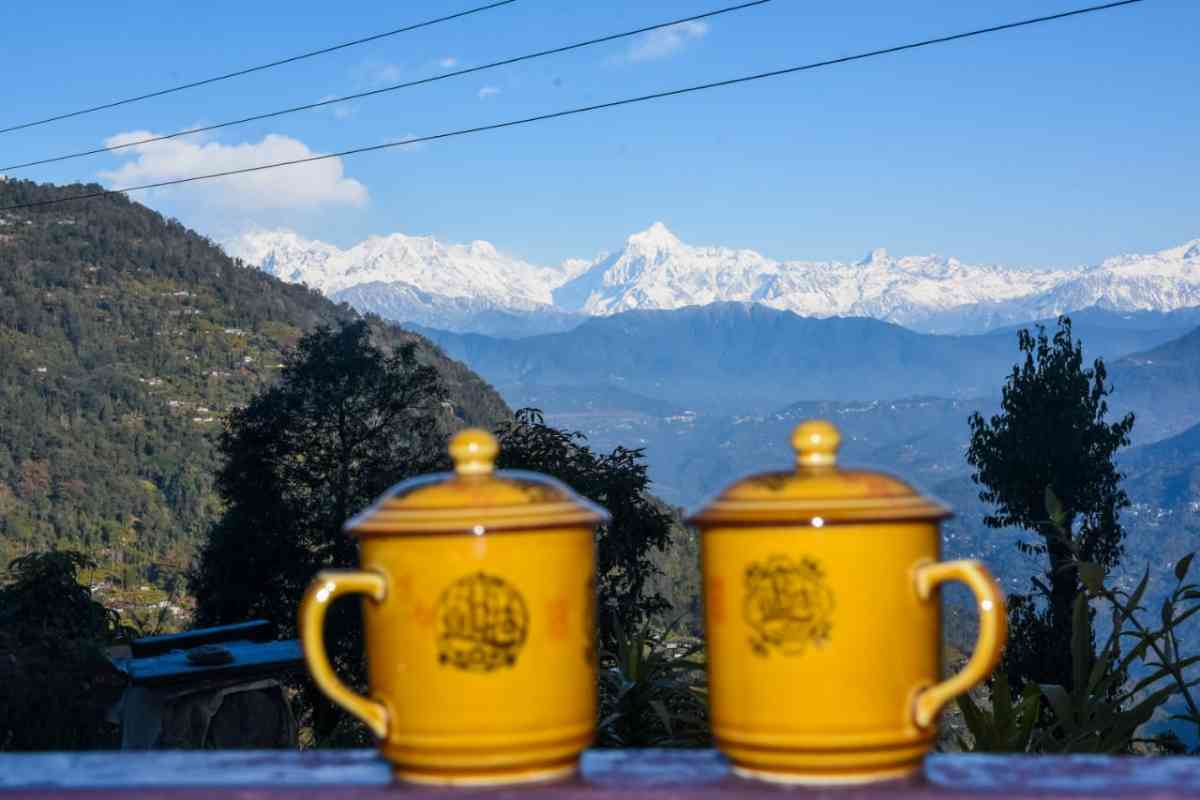 Wild Orchid Homestay - Kolakham