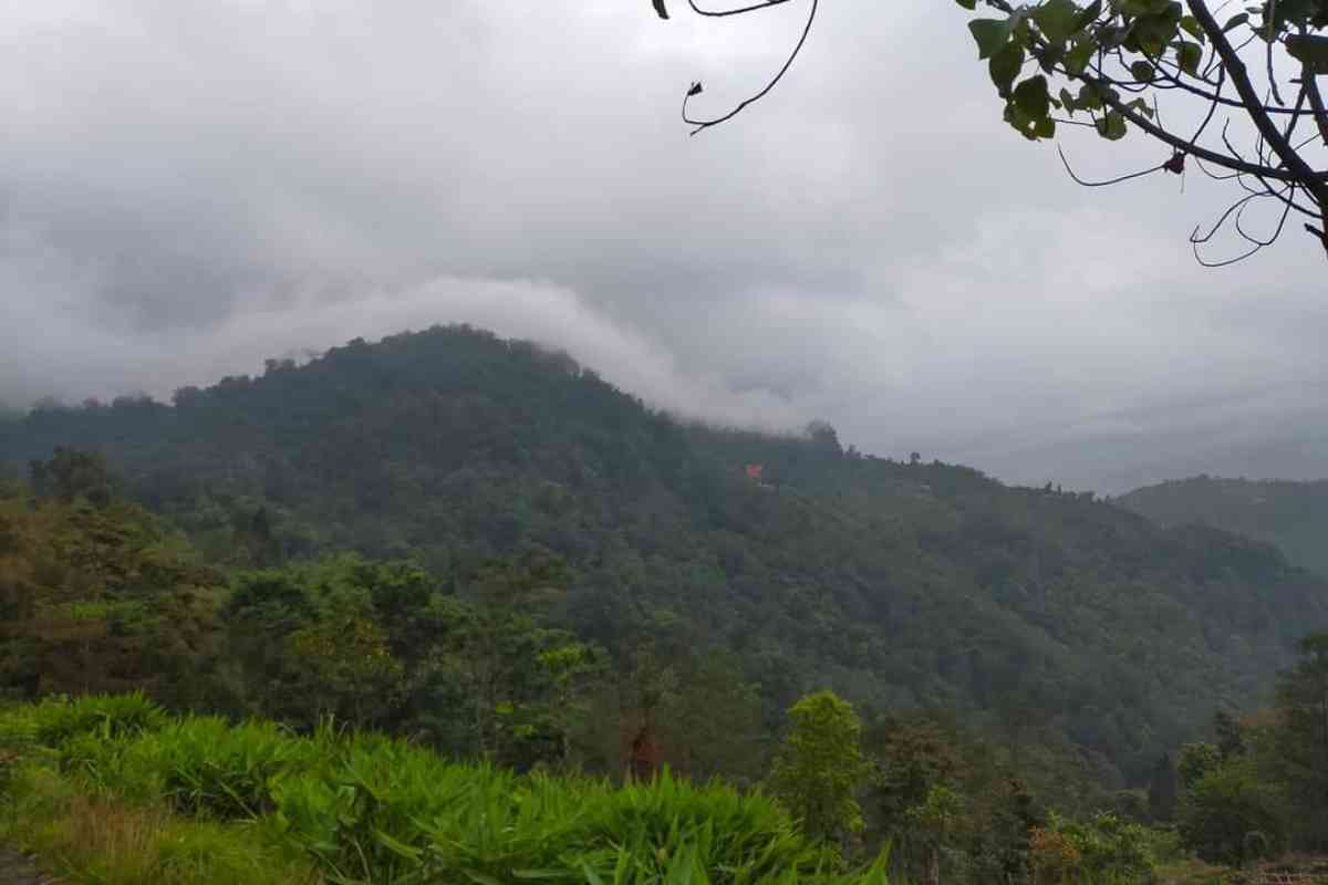 White Pine Retreat - Charkhole