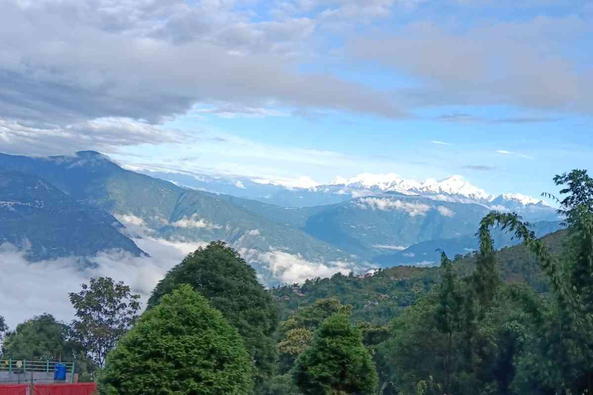 Mountain Pine Vista - Ramdhura