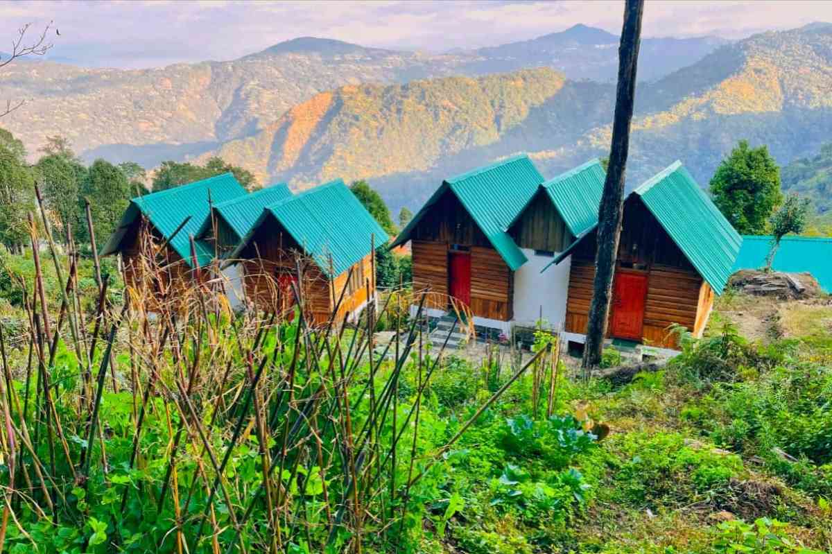 Forest Cabin - Kaffergaon