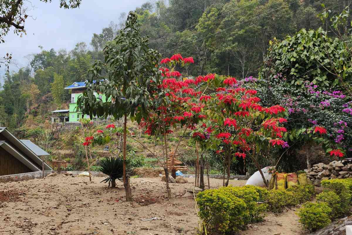 PabyamKunj Hostel -  West Sikkim
