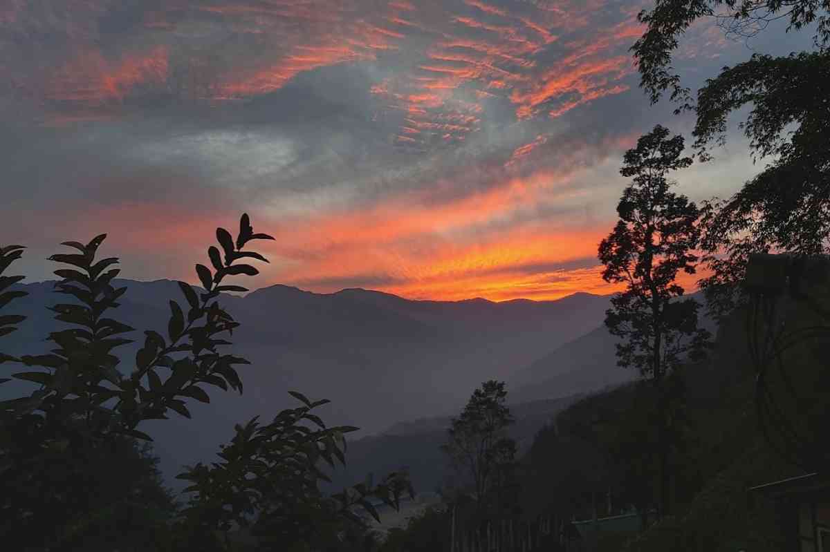 Oak Valley Retreat Homestay & Cafe