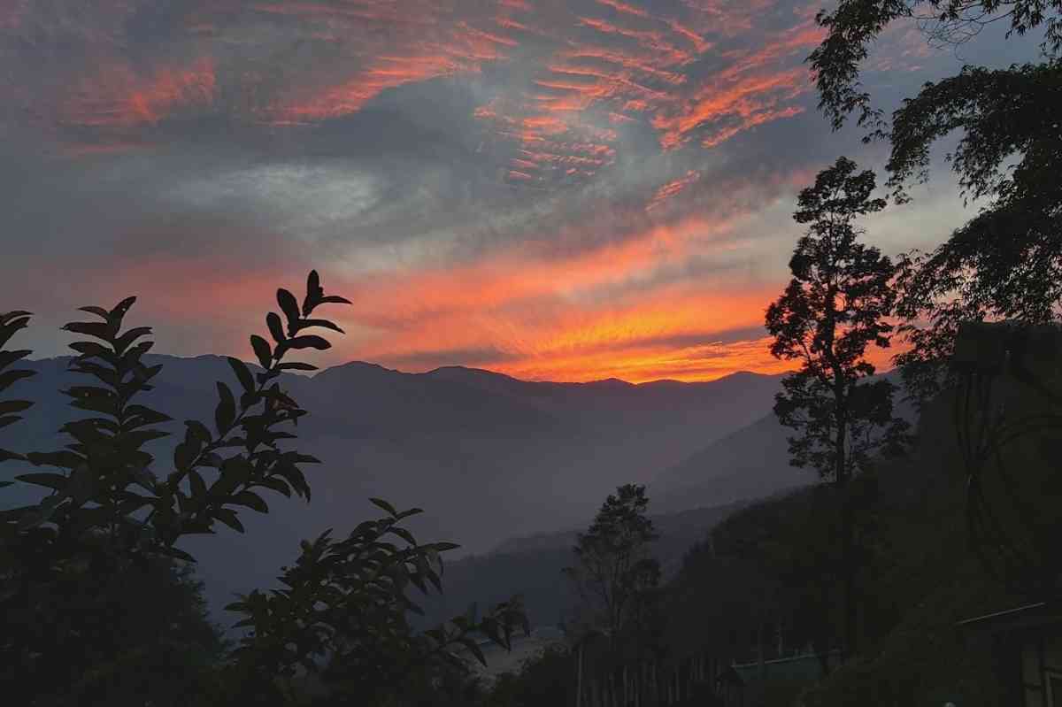 Oak Valley Retreat Hostel & Cafe