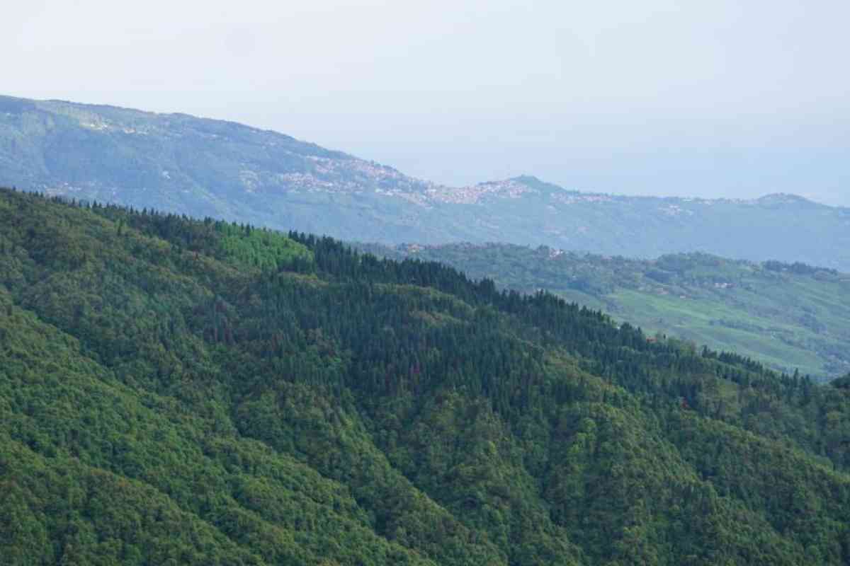 Tranquil Retreat Homestay