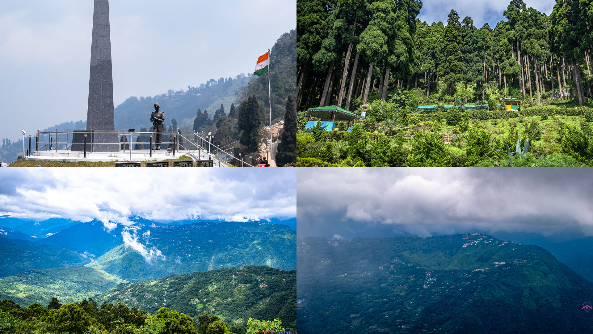 The Hidden Gem of Darjeeling (Takdah, Tinchuley, Lamahatta)